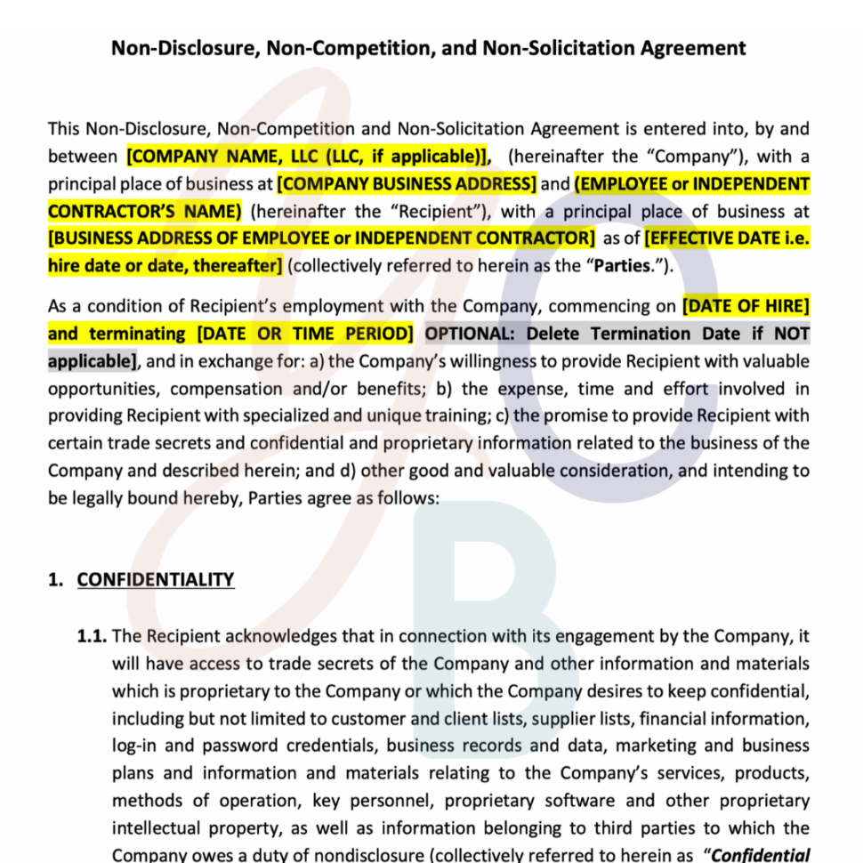 Non Disclosure, Non Competition, and Non-Solicitation Agreement